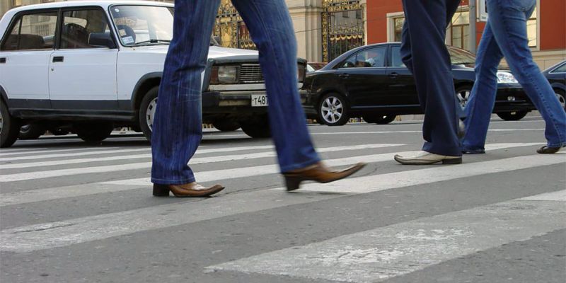 
                                    Госдума поддержала увеличение штрафов за непропуск пешеходов
                            