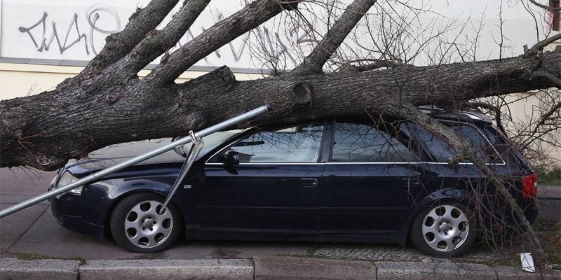 
                                    Ураган повредил в Москве более 130 автомобилей
                            