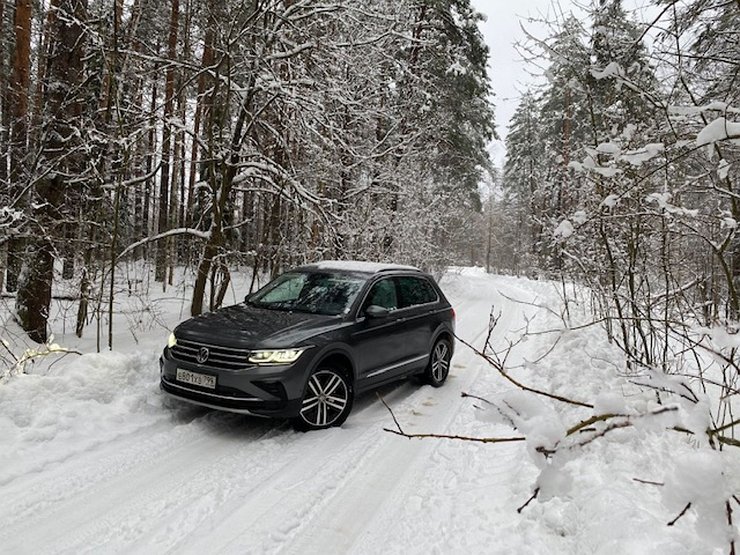 ГАЗ просит российские власти не выпускать Volkswagen из страны