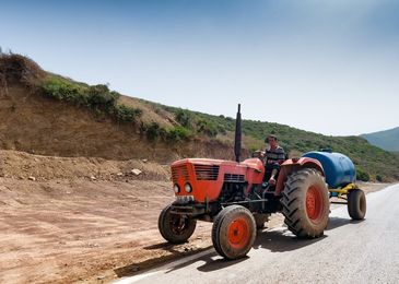 Грузинский автопром на подъеме: поставки машин из Закавказья выросли на 300%